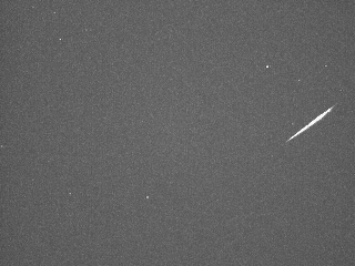 All 64 meteors detected from the Tucson camera on the night of Oct 25 UT.