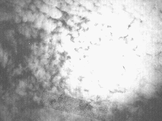 20090909_1038 20090909_1038