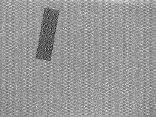 20090909_1205 20090909_1205